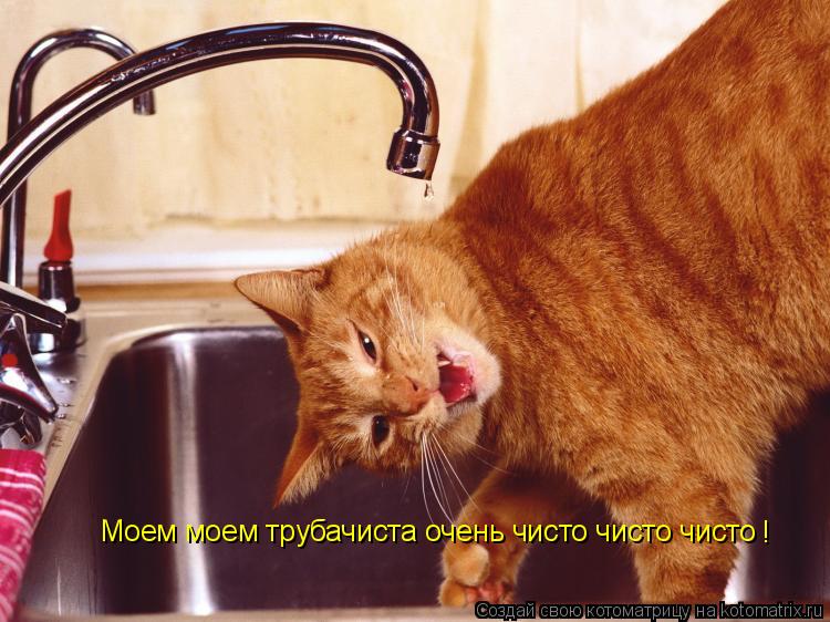 Котоматрица: Моем моем трубачиста очень чисто чисто чисто !