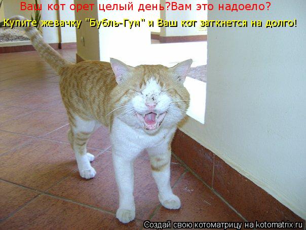 Ваш кот орет целый день?Вам это надоело? Купите жевачку "Бубль-Гум" и Ваш кот заткнется на долго!... Котоматрица: Ваш кот орет целый день?Вам это надоело? Купите жевачку "Бубль-Гум" и Ваш кот заткнется на долго!