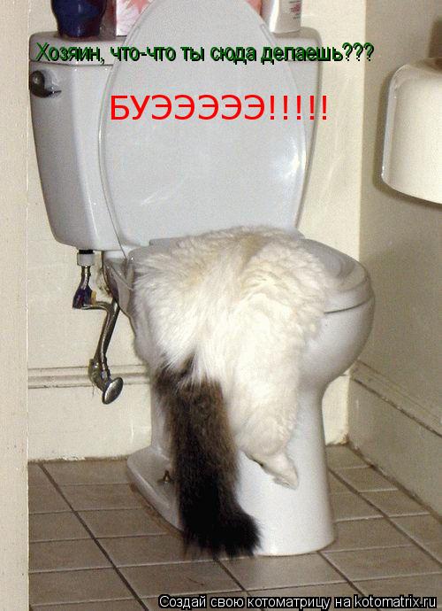 Хозяин, что-что ты сюда делаешь??? БУЭЭЭЭЭ!!!!!... Котоматрица: Хозяин, что-что ты сюда делаешь??? БУЭЭЭЭЭ!!!!!
