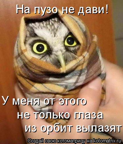 Котоматрица: На пузо не дави!  У меня от этого  не только глаза  из орбит вылазят