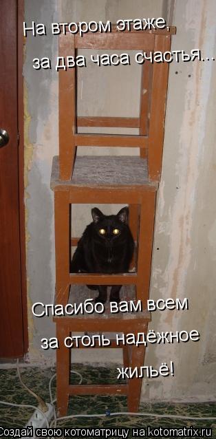 На втором этаже, за два часа счастья... Спасибо вам всем за столь надёжное жильё!... Котоматрица: На втором этаже, за два часа счастья... Спасибо вам всем за столь надёжное жильё!