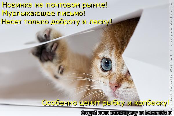 Новинка на почтовом рынке! Мурлыкающее письмо! Несет только доброту и ласку! Особенно ценит рыбку и к... Котоматрица: Новинка на почтовом рынке! Мурлыкающее письмо! Несет только доброту и ласку! Особенно ценит рыбку и колбаску!