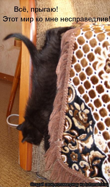 Котоматрица: Всё, прыгаю! Этот мир ко мне несправедлив!