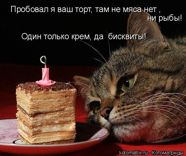 Котоматрица: Пробовал я ваш торт, там не мяса нет , ни рыбы! Один только крем, да  бисквиты!