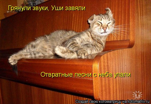 Котоматрица: Грянули звуки, Уши завяли Отвратные песни с неба упали