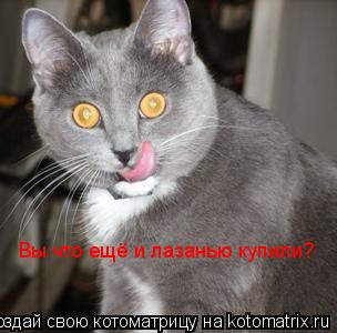 Котоматрица: Вы что ещё и лазанью купили?