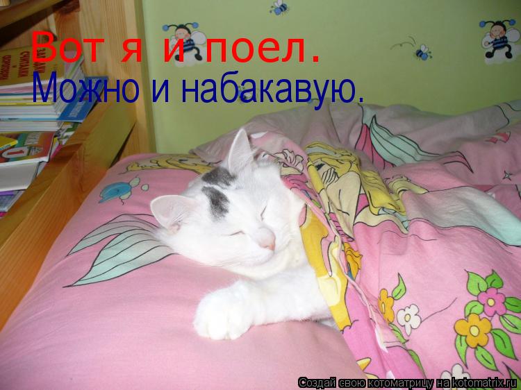 Котоматрица: Вот я и поел. Можно и набакавую.