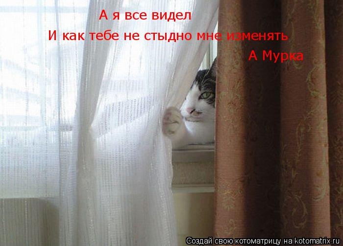 А я все видел И как тебе не стыдно мне изменять А Мурка... Котоматрица: А я все видел И как тебе не стыдно мне изменять А Мурка