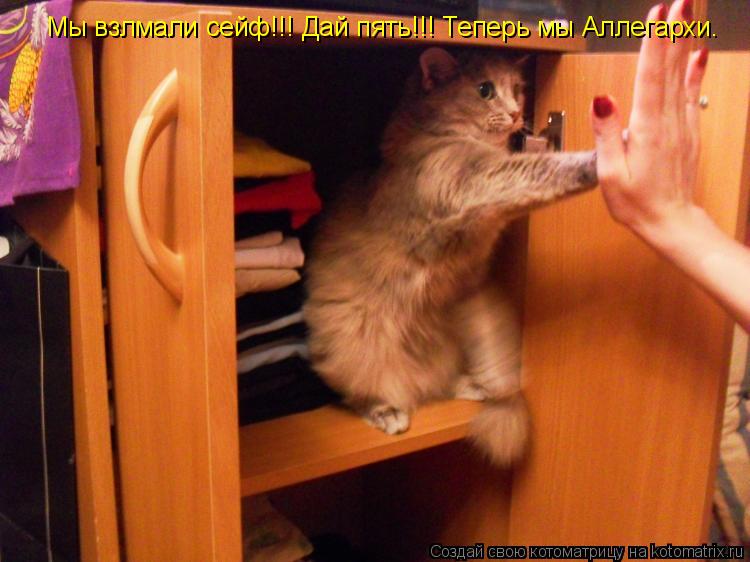 Котоматрица: Мы взлмали сейф!!! Дай пять!!! Теперь мы Аллегархи.