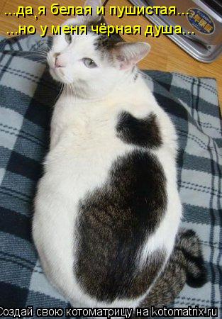Котоматрица: ...да я белая и пушистая... , ...но у меня чёрная душа...