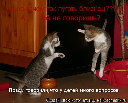 Котоматрица: Да не зачем так пугать близнец???!!! А ,     чё не говоришь? Првду говорили,что у детей много вопросов