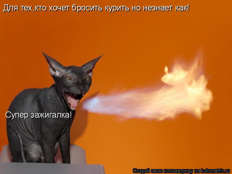 Котоматрица: Супер зажигалка!  Для тех,кто хочет бросить курить но незнает как!
