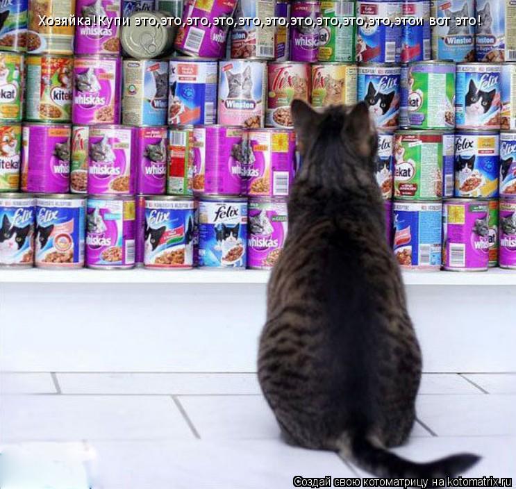 Котоматрица: Хозяйка!Купи это,это,это,это,это,это,это,это,это,это,этои вот это!