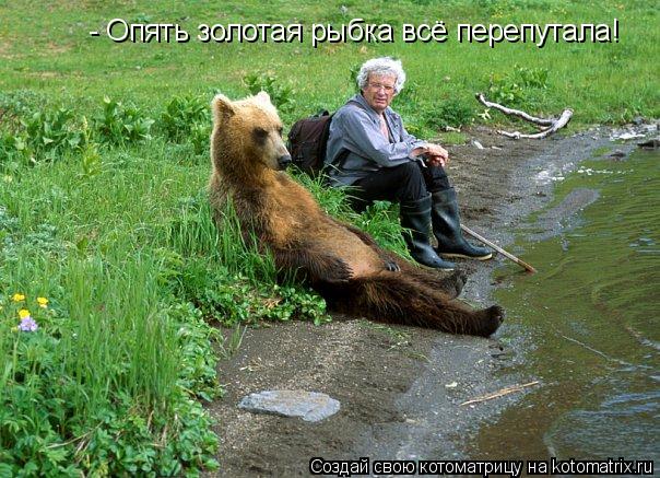 Котоматрица: - Опять золотая рыбка всё перепутала!
