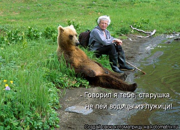 Котоматрица: - Говорил я тебе, старушка,  не пей водицы из лужици!