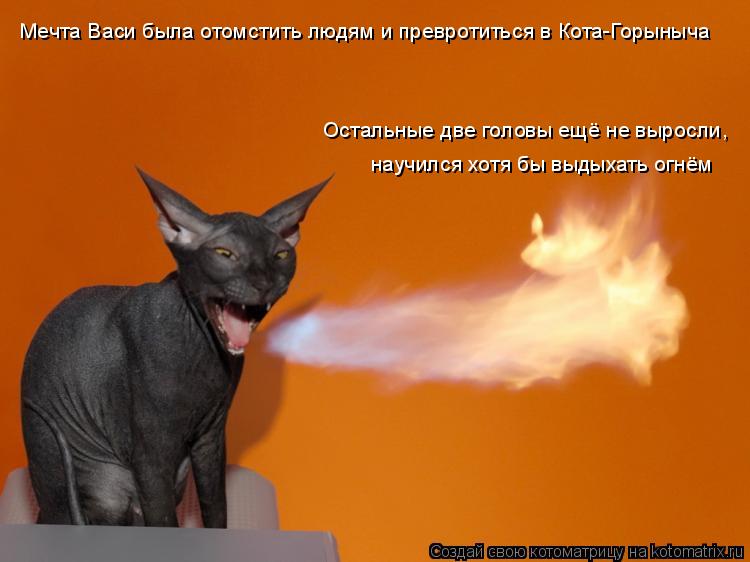 Котоматрица: Мечта Васи была отомстить людям и превротиться в Кота-Горыныча Остальные две головы ещё не выросли научился хотя бы выдыхать огнём ,