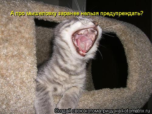 Котоматрица: А про мышеловку заранее нельзя предупреждать?
