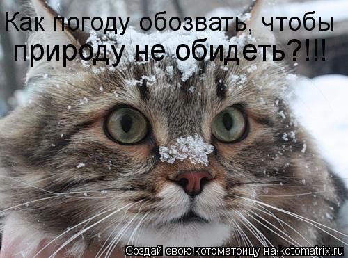 Котоматрица: природу не обидеть?!!! Как погоду обозвать, чтобы