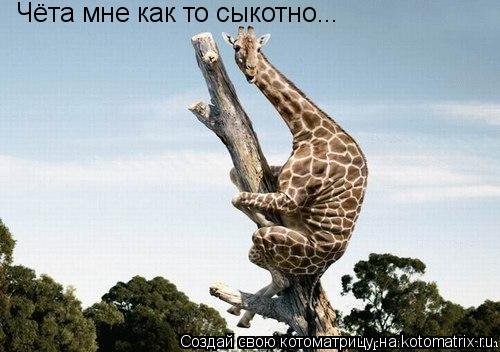 Котоматрица: Чёта мне как то сыкотно...