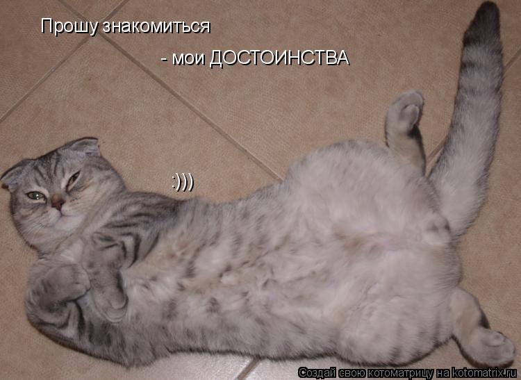 Прошу знакомиться - мои ДОСТОИНСТВА :)))... Котоматрица: Прошу знакомиться - мои ДОСТОИНСТВА :)))