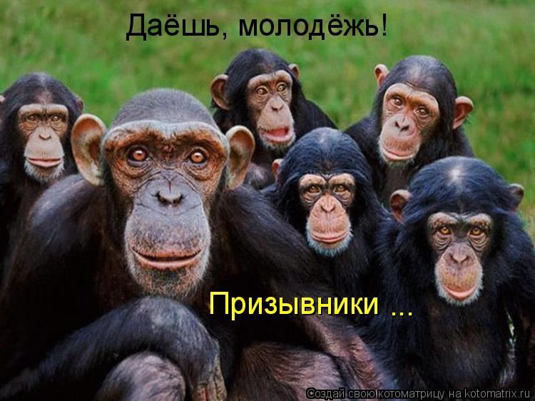 Котоматрица: Даёшь, молодёжь! Призывники ...