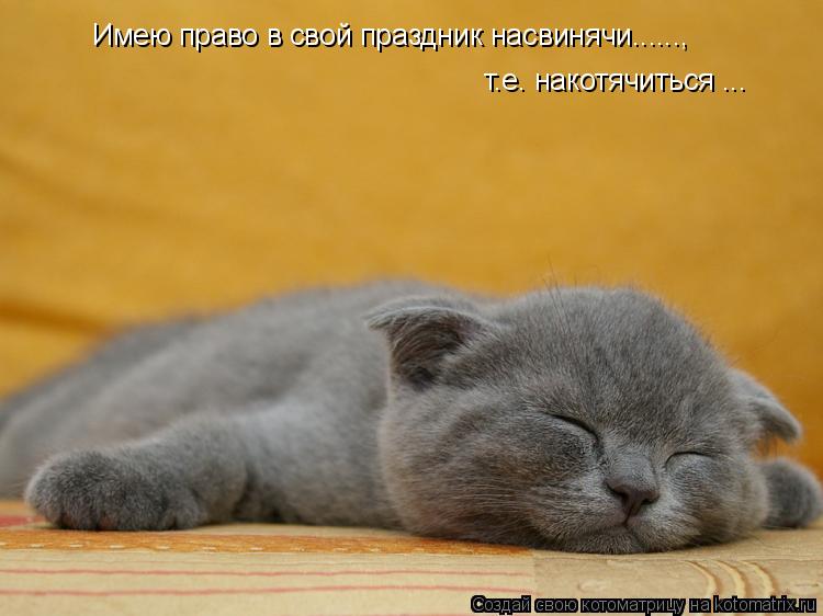 Котоматрица: Имею право в свой праздник насвинячи......,  т.е. накотячиться ...