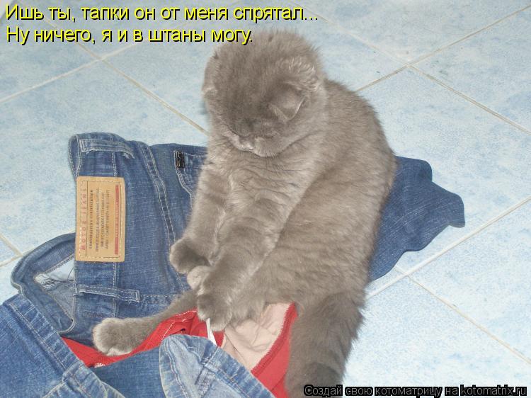 Котоматрица: Ишь ты, тапки он от меня спрятал... Ну ничего, я и в штаны могу.
