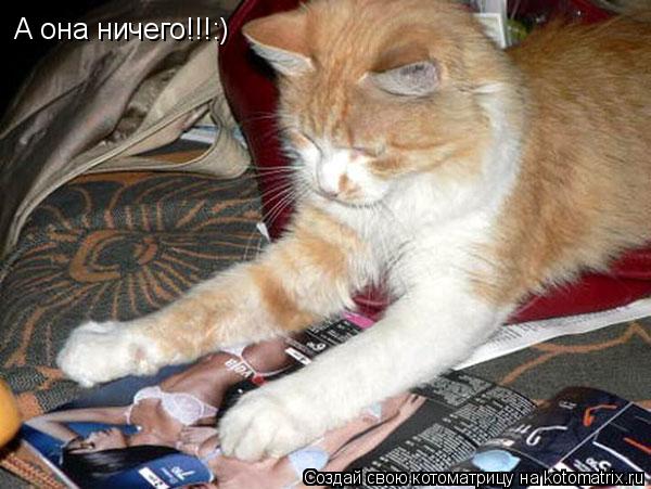 Котоматрица: А она ничего!!!:)