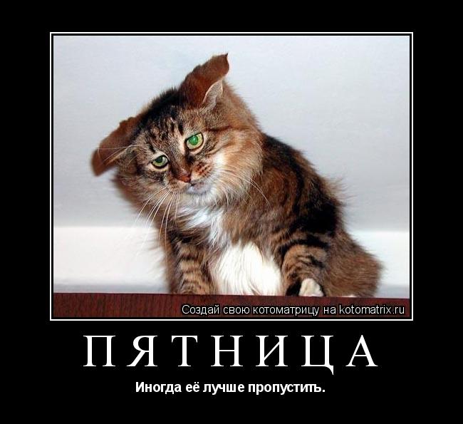 пятница Иногда её лучше пропустить.... Котоматрица: пятница Иногда её лучше пропустить.