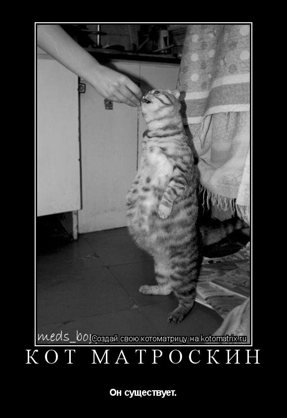 Кот Матроскин Он существует.... Котоматрица: Кот Матроскин Он существует.