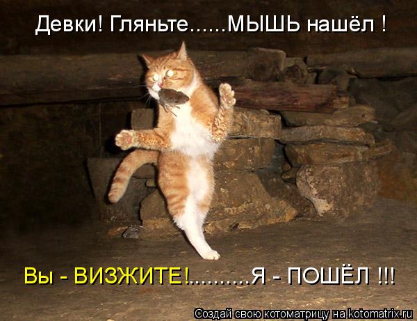 Девки! Гляньте......МЫШЬ нашёл ! Вы - ВИЗЖИТЕ! ..........Я - ПОШЕЛ !!! ..... Котоматрица: Девки! Гляньте......МЫШЬ нашёл ! Вы - ВИЗЖИТЕ! ..........Я - ПОШЕЛ !!! ..