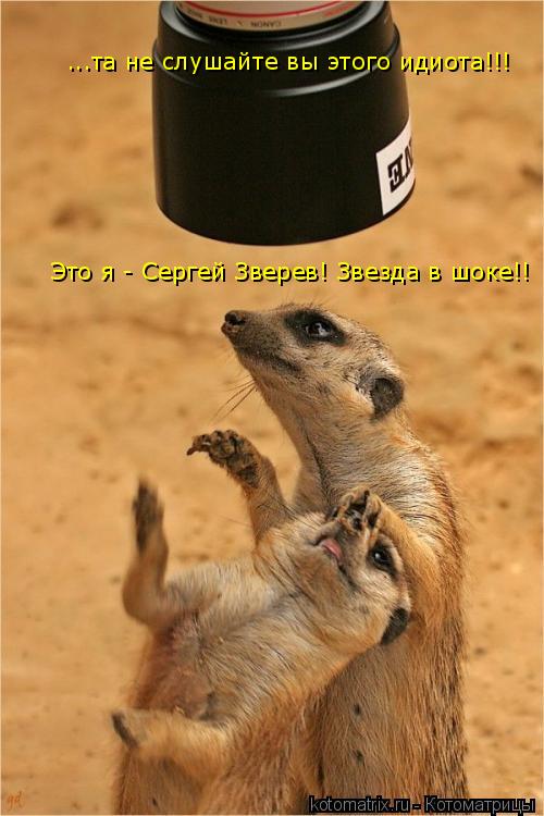 Котоматрица: ...та не слушайте вы этого идиота!!! Это я - Сергей Зверев! Звезда в шоке!!