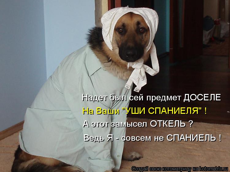 Надет был сей предмет ДОСЕЛЕ На Ваши "УШИ СПАНИЕЛЯ" ! А этот замысел ОТКЕЛЬ ? Ведь Я - совсем не СПАН... Котоматрица: Надет был сей предмет ДОСЕЛЕ На Ваши "УШИ СПАНИЕЛЯ" ! А этот замысел ОТКЕЛЬ ? Ведь Я - совсем не СПАНИЕЛЬ !