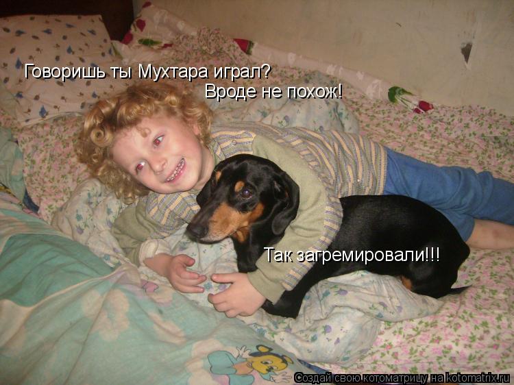 Котоматрица: Говоришь ты Мухтара играл? Вроде не похож! Так загремировали!!!