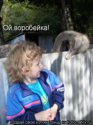 Котоматрица: Ой,воробейка!