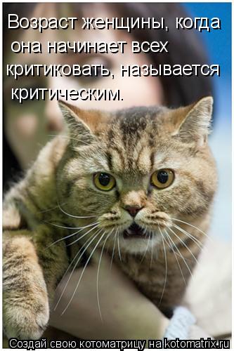 Котоматрица: Возраст женщины, когда она начинает всех критиковать, называется  критическим.