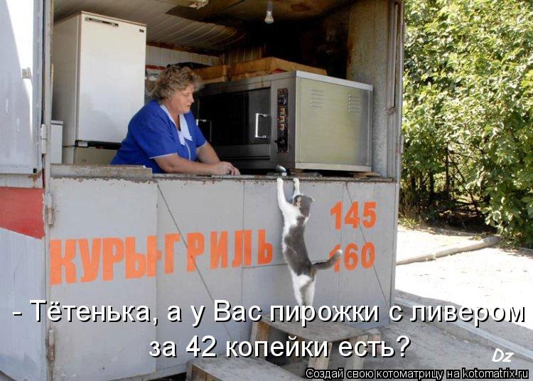 Котоматрица: - Тётенька, а у Вас пирожки с ливером за 4 копейки есть?  за 42 копейки есть?