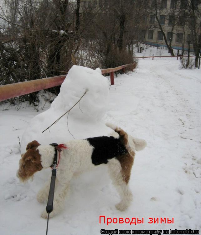 Котоматрица: Проводы зимы