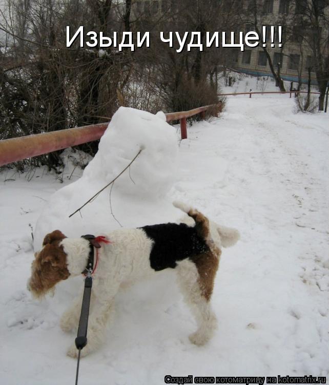 Котоматрица: Изыди чудище!!!