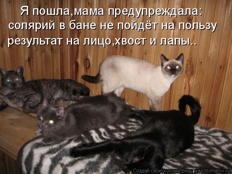 Котоматрица: Я пошла,мама предупреждала: солярий в бане не пойдёт на пользу результат на лицо,хвост и лапы..