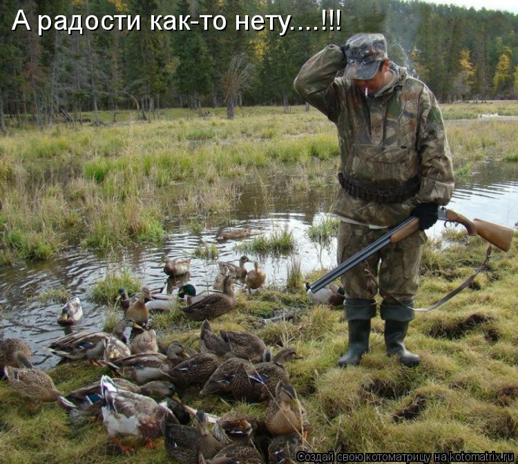 Котоматрица: А радости как-то нету....!!!