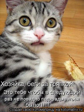 Котоматрица: Хозяйка, беги за тряпкой! Это тебе чтобы в следующий раз не повадно подкрадываться было!!!!!!