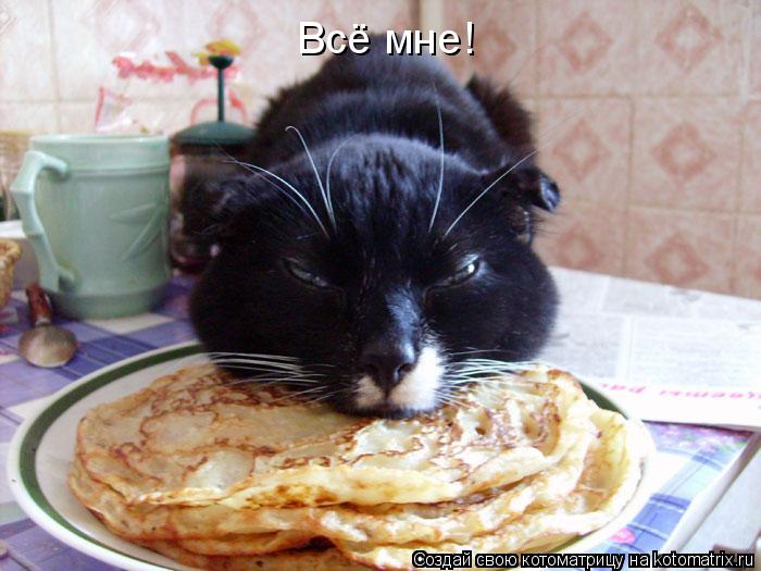Котоматрица: Всё мне!