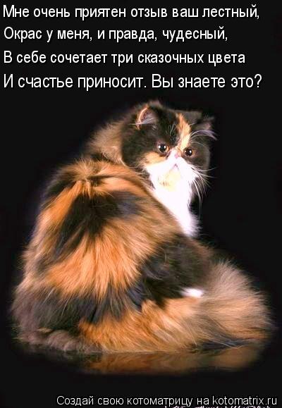 Мне очень приятен отзыв ваш лестный, Окрас у меня, и правда, чудесный, В себе сочетает три сказочных ... Котоматрица: Мне очень приятен отзыв ваш лестный, Окрас у меня, и правда, чудесный, В себе сочетает три сказочных цвета И счастье приносит. Вы знаете это?