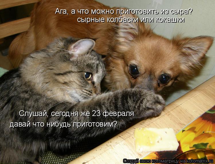 Котоматрица: Слушай, сегодня же 23 февраля давай что нибудь приготовим? Ага, а что можно приготовить из сыра? сырные колбаски или кокашки