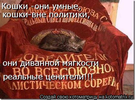 Котоматрица: Кошки -они умные,  кошки-вне политики, они диванной мягкости реальные ценители!!!