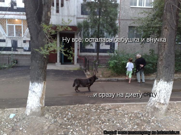 Котоматрица: Ну всё, осталась бабушка и внучка ...и сразу на диету сяду