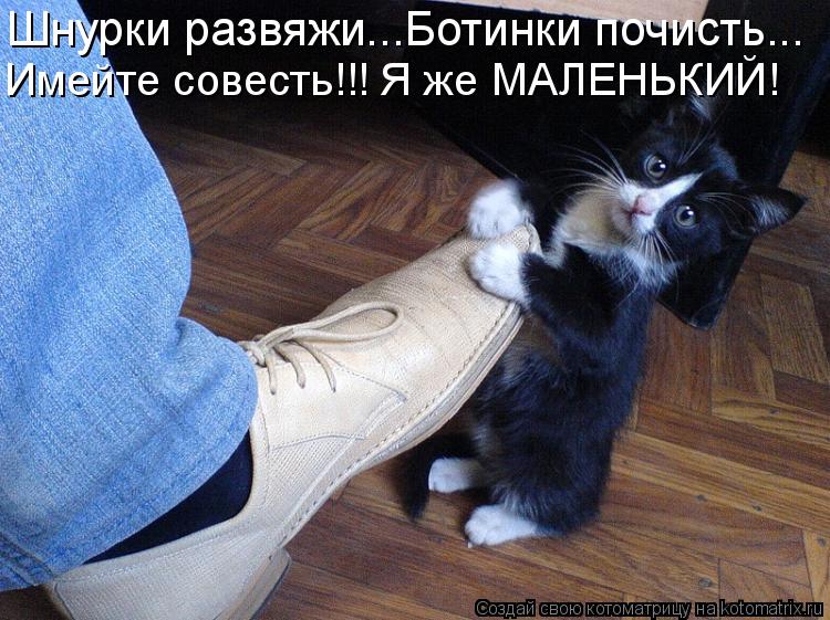 Котоматрица: Шнурки развяжи...Ботинки почисть... Имейте совесть!!! Я же МАЛЕНЬКИЙ!