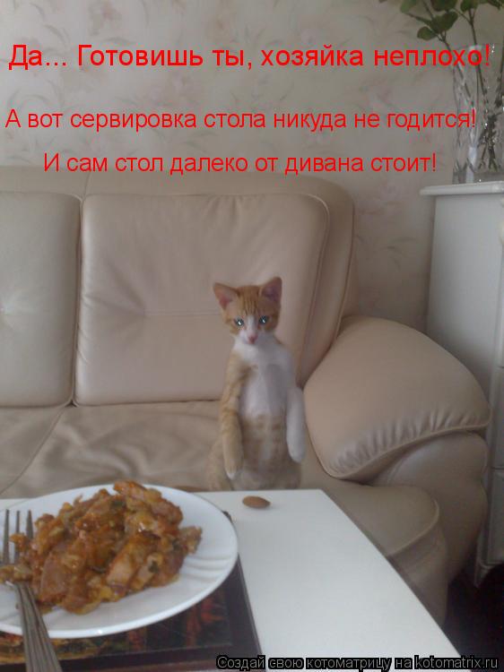 Котоматрица: Да... Готовишь ты, хозяйка неплохо! А вот сервировка стола никуда не годится! И сам стол далеко от дивана стоит!