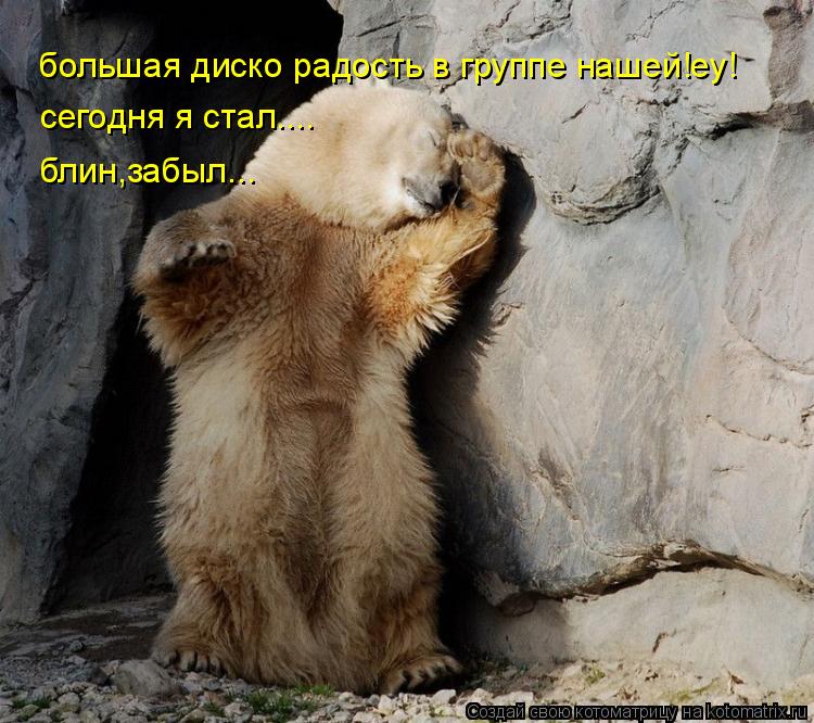Котоматрица: большая диско радость в группе нашей!еу! сегодня я стал.... блин,забыл...